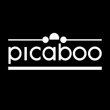 Picaboo Coupon Codes Picaboo Coupon Codes